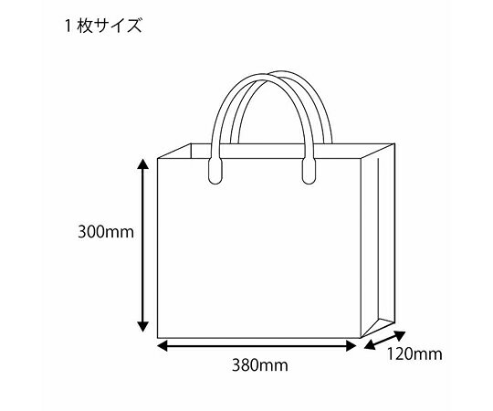 アズワン(AS ONE) 380x120x300mm トートバッグ(透明/Lサイズ) EA927SF-116 入数:1枚 [3]