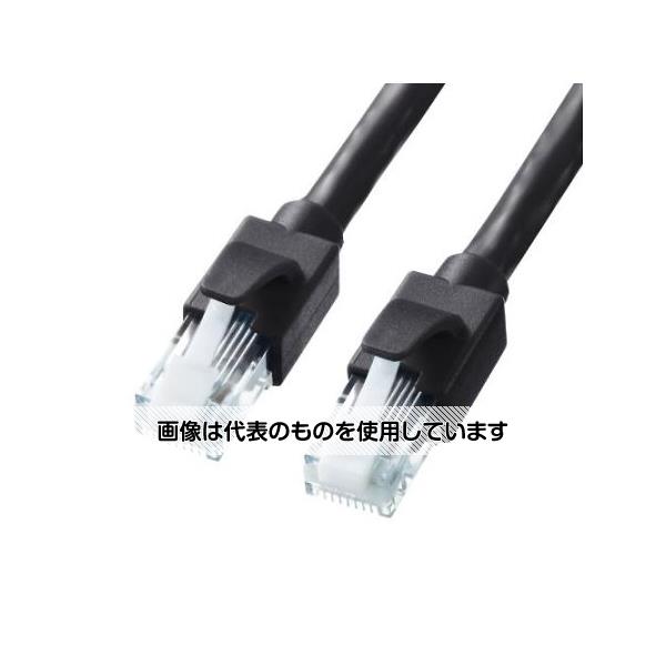 アズワン(AS ONE) 20 m LANケーブル(CAT6/10Gbイーサネット対応/黒) EA764BB-169 入数：1個