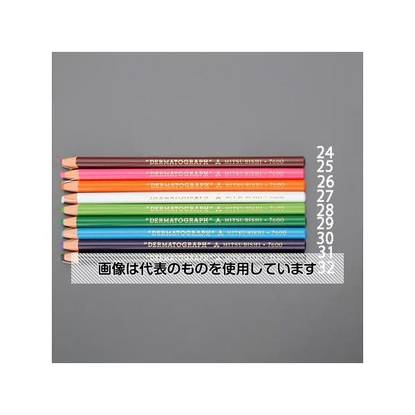 アズワン(AS ONE) 油性色鉛筆(12本/茶色) EA765MD-24 入数：1箱(12本入)