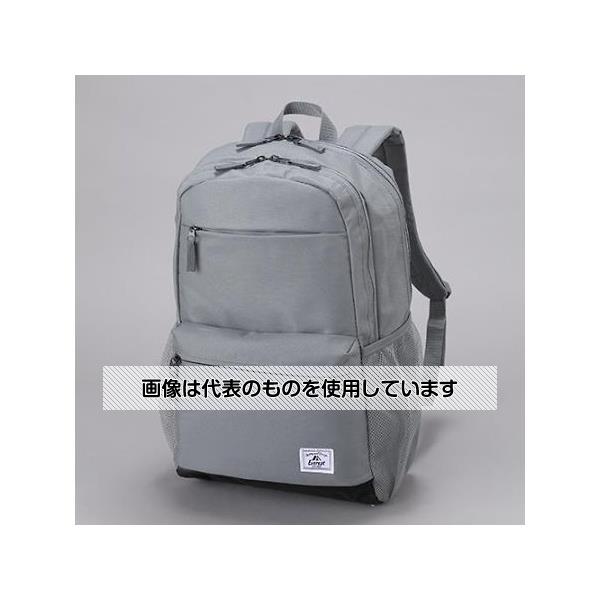アズワン(AS ONE) 304x152x457mm/19.7L バックパック(ダークグレー) EA927CH-77 入数：1個