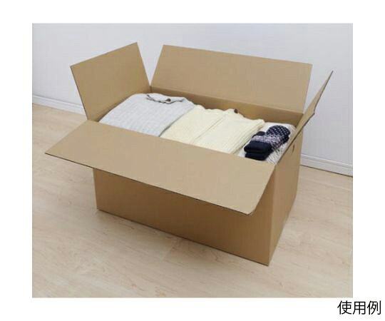 アズワン(AS ONE) 734x434x411mm ダンボール(シングル/10枚) EA995BS-78 入数:1箱(10枚入) [2]