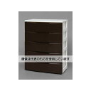アズワン(AS ONE) 720x415x1000mm 引出し式収納ケース(5段) EA506L-57A 入数:1個