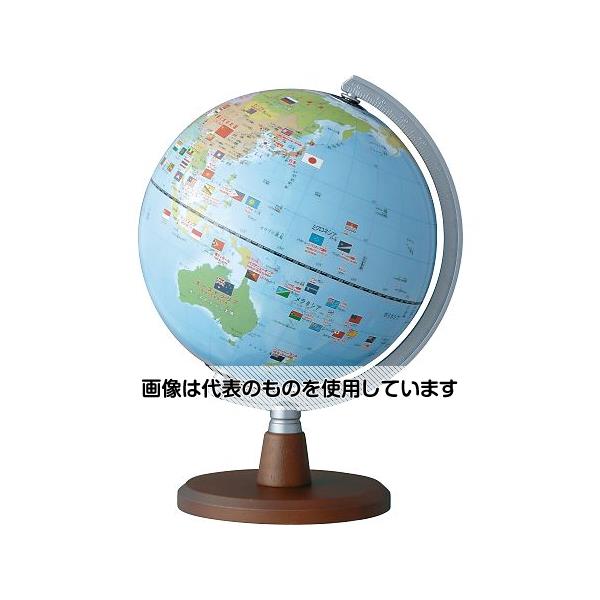 レイメイ藤井 しゃべる国旗付地球儀スタンダード OYV46 入数：1個
