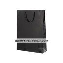 アズワン(AS ONE) 380x120x520mm ファンシーバッグ(黒/10枚) EA927SA-55 入数:1束(10枚入)