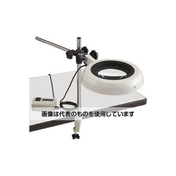 �����ĥ����� ���� LED��������� SKKL-ST�� 12�� SKKLSTX12 ������1��