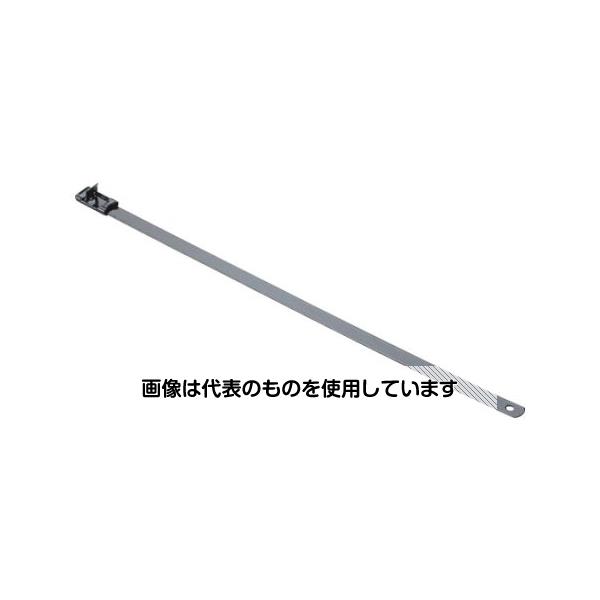 Thermometers - パンドウイットコーポレーション MSナイロン11コーティングステンレススチールバンド 12.9×940 50本入 MSC10W50T15-L6 入数：1袋(50本入)