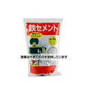 家庭化学工業 鉄セメント 1kg スタンドパック 209895 入数：1個