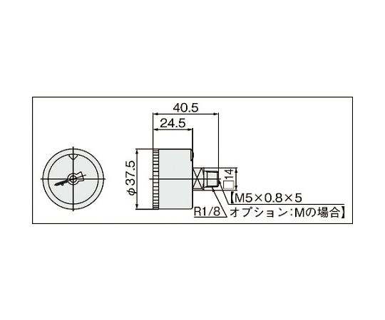 SMC 圧力計 G36-10-01-X4 入数：1個 2