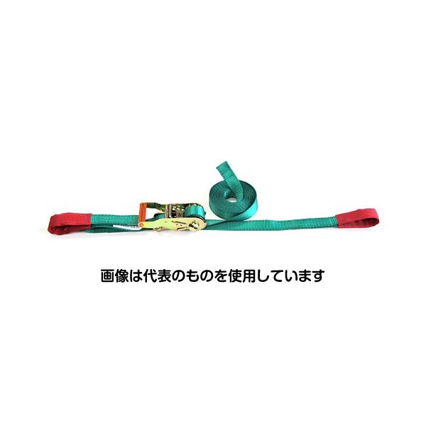 【アズワン AS ONE】実験室設備 工具類 工具、道具 ●ラチェットハンドル式のベルト荷締機。 ●簡単な動作と軽い力で強力な荷締めが可能。 商品の仕様 ●ベルト幅：25mm ●端末形状：スリングフック 【※ご注意ください】商品は代表の画像を使用しています。