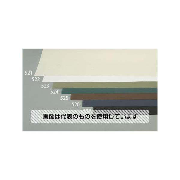 ������ 1.1x 5m/0.55mm ������(11��/�֥饦��) EA911AK-525 ������1��