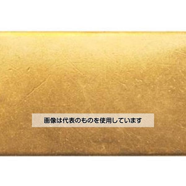 エスコ 25x51mm タグブランク(真鍮 長四角/10枚) EA591HD-14 入数：1パック(10枚入)