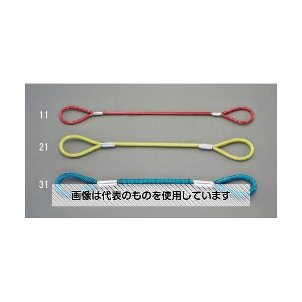 【アズワン AS ONE】実験室設備 工具類 工具、道具 ●ワイヤー径ごとに被覆の色が違う為、太さが一目でわかります。 商品の仕様 ●ロープ径：12mm ●全長：2.0m ●重量：2.4kg ●色：青 ●破断荷重：6.72t ●材質：ワイヤー／炭素鋼、被覆／塩化ビニール 【※ご注意ください】商品は代表の画像を使用しています。