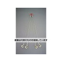 スリーエッチ 0.84tonx1.0m ワイヤースリング(4本懸け) EA981WT-11 入数:1組