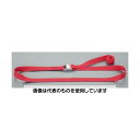 エスコ 25mmx2.0m 荷締ストラップ(ステンレス製/カム式/赤) EA982BA-112 入数:1個(4)