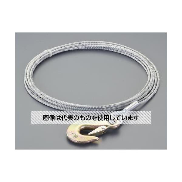 Thermometers - エスコ 5mmx9.0m ハンドウィンチ用ワイヤー(フック付) EA989SD-9 入数：1個