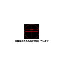クリアー光学 赤線0.1mm目盛付 ガラススケール Φ35mm P-200RN 入数:1個