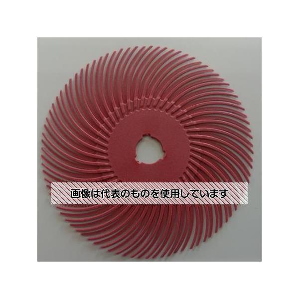 Files - アズワン(AS ONE) 76.2x9.5mm/#220 特殊樹脂ディスク(5枚) EA819AY-108 入数：1袋(5枚入)