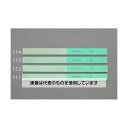 エスコ 170x14x1.7mm/#200/#300 ダイヤモンドヤスリ(フレキ) EA826VK-113 入数:1本