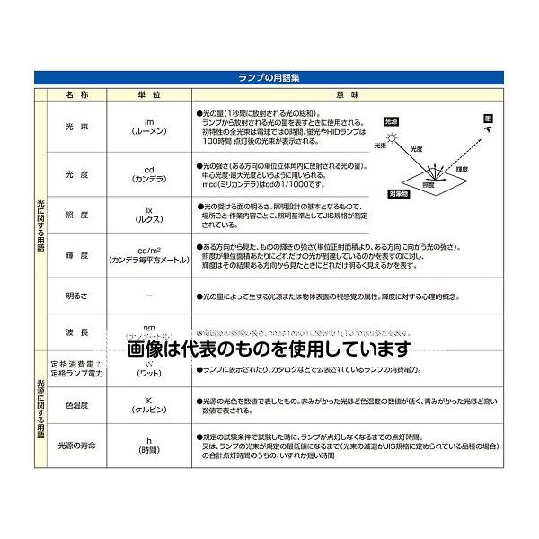 【アズワン AS ONE】実験室設備 工具類 工具、道具 ●手元に照明ON/OFFスイッチと、2P補助コンセントがついています。 ●ランプを守る金属製ガードネットです。 商品の仕様 ●サイズ：95(W)×353(H)mm ●明るさ：800ルーメン ●消費電力：100V(50/60Hz兼用) ●電線仕様：VCT 1.25mm2×2心 ●コンセント：2P×1個 ●重量：1.7kg ●光源：10W電球形LEDランプ ●吊り下げフック付 ●コード長：10m ●電源：AC100V ●耐熱性と絶縁性に優れた硬化性樹脂製グリップ付 ●JANコード：4550061505816 【※ご注意ください】商品は代表の画像を使用しています。