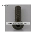 エスコ M10x10mm 六角穴付ボルト(超低頭/クロメート/2本) EA949MG-1010A 入数:1袋(2本入)