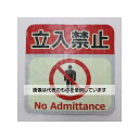 アズワン(AS ONE) 300x300mm 路面道路標識(蓄光/立入禁止) EA983BF-3 入数:1枚