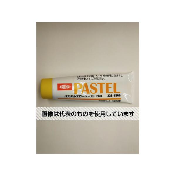 イサム塗料 パステルエローペーストPlus 80g 335-1508-5 入数：1本