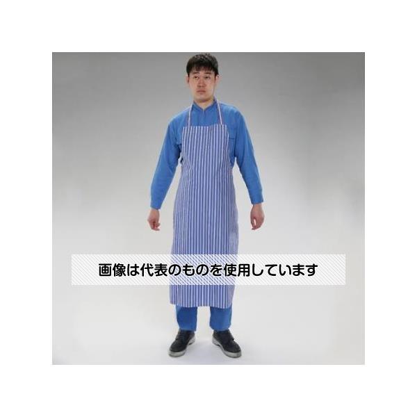【アズワン AS ONE】実験室設備 工具類 工具、道具 ●食品加工工場での使用に最適です。 ●洗濯機で洗えます。 商品の仕様 ●サイズ：100×70cm ●仕様：ポケット無 ●材質：ナイロン生地(ウレタンコーティング)、ウエストひも／綿 ●ネックハンガー式 ●防水性 ●LFGB規格適合品 【※ご注意ください】商品は代表の画像を使用しています。