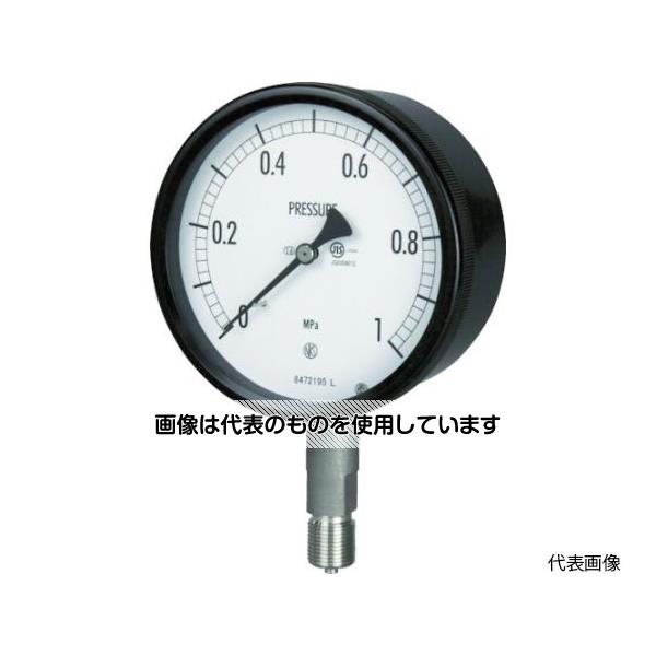長野計器 密閉形圧力計 A枠立型 Φ100 最小目盛0.100 BE10-133-6.0MP 入数：1個