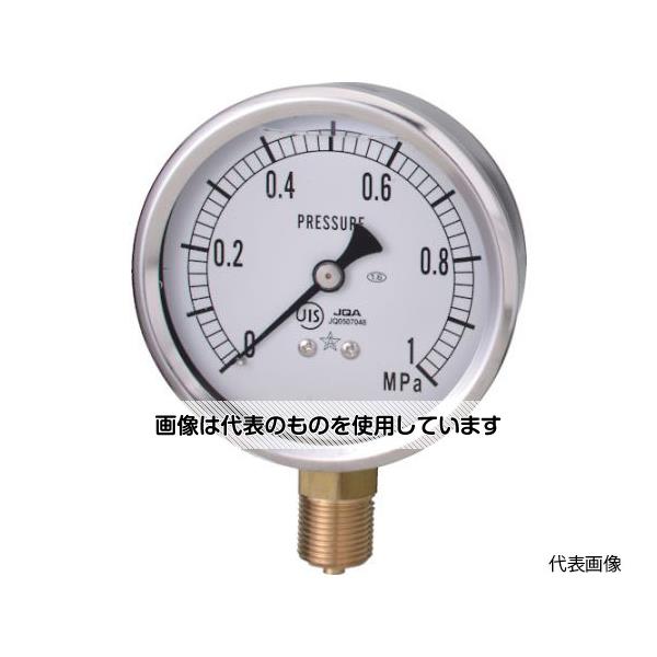 右下精器製造 グリセリン-T AU1/4×60×1.6MPA GLT-21-1.6MP 入数：1個