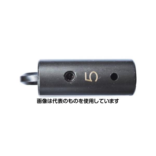Thermometers - 中村製作所（カノン） HCKヘキサゴンヘッド 25HCK5 入数：1個