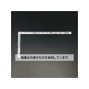 アズワン(AS ONE) 150x300mm シルバー曲尺 EA720WA-30B 入数:1本