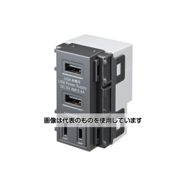 アズワン(AS ONE) USB給電用コンセント(AC一体形/グレー) EA940CF-87 入数：1個
