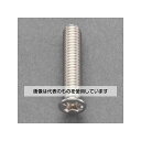 エスコ M6 x25mm 小皿頭小ねじ(ステンレス製/2本) EA949NJ-625A 入数:1袋(2本入)