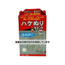 アズワン(AS ONE) ハケぬりセメント 300g 灰白色 MHS-01 入数:1個