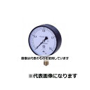 第一計器製作所 IPT一般圧力計 蒸気用 A型 φ100 G1/2 0～0.6MPA AMS1/2-100:0.6MPA 入数：1個