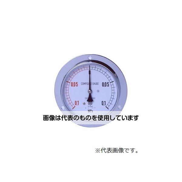 第一計器製作所 IPT一般圧力計 D型 Φ100 G3/8 0～1MPA DU3/8-100:1MPA 入数：1個