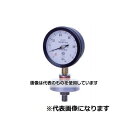 第一計器製作所 隔膜式連成計ねじ式 ダイヤフラムSUS316L封入液シリコン A型 PK-1 AU100 R1/2 0.7/-0.1MPA S25C SUS304 入数:1個(4)