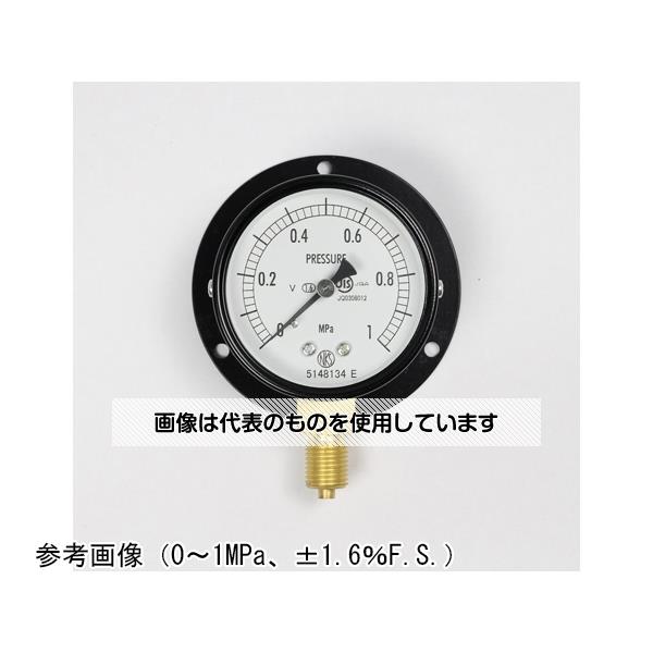 長野計器 普通形圧力計(Φ60) 立形B枠 耐振用 2.5MPa AA10-221 入数：1個