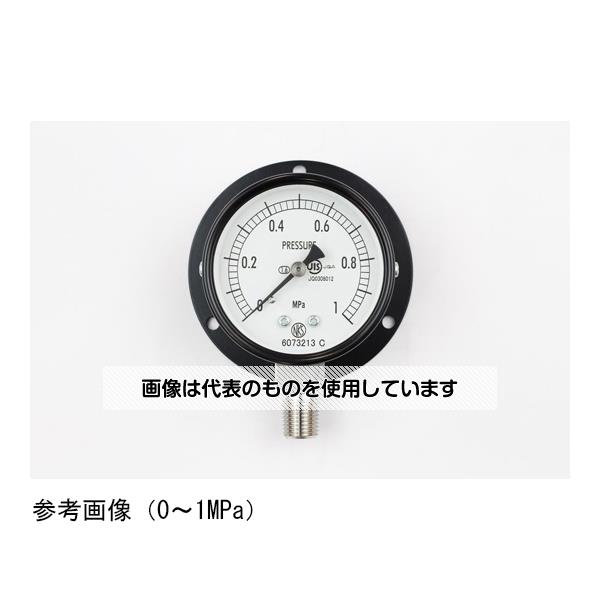 長野計器 普通形圧力計(Φ60) 立形B枠 0.6MPa AA10-273 入数：1個
