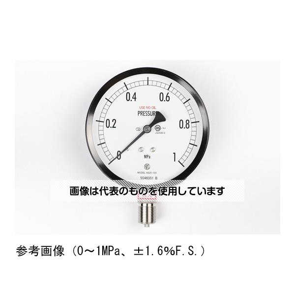 長野計器 普通形圧力計(Φ100) 禁油 立形A枠 25MPa AE20-133 入数：1個