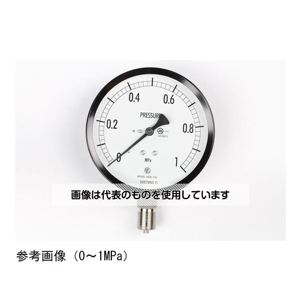 長野計器 普通形圧力計(Φ100) 立形A枠 蒸気用 0.6MPa AE20-133 入数：1個