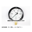 長野計器 普通形圧力計(Φ100) 立形B枠 30MPa AE20-231 1個