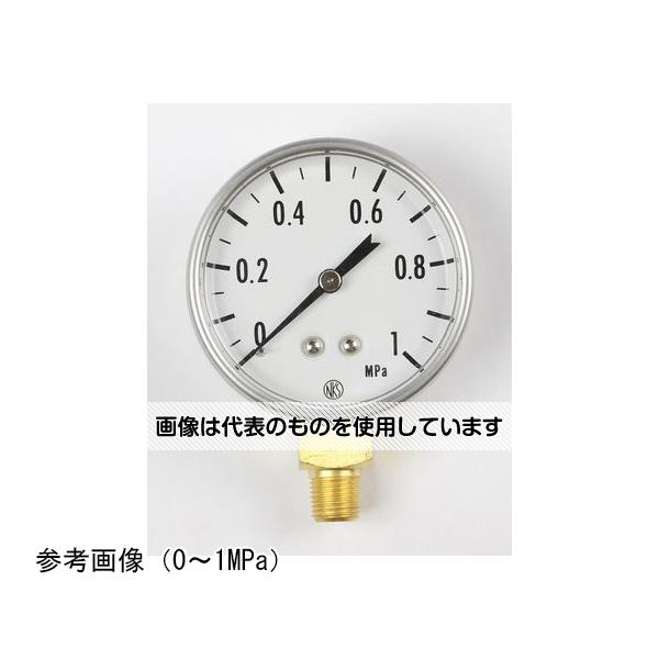 長野計器 小型圧力計(50Φ) 1MPa GK20-261 入数：1個