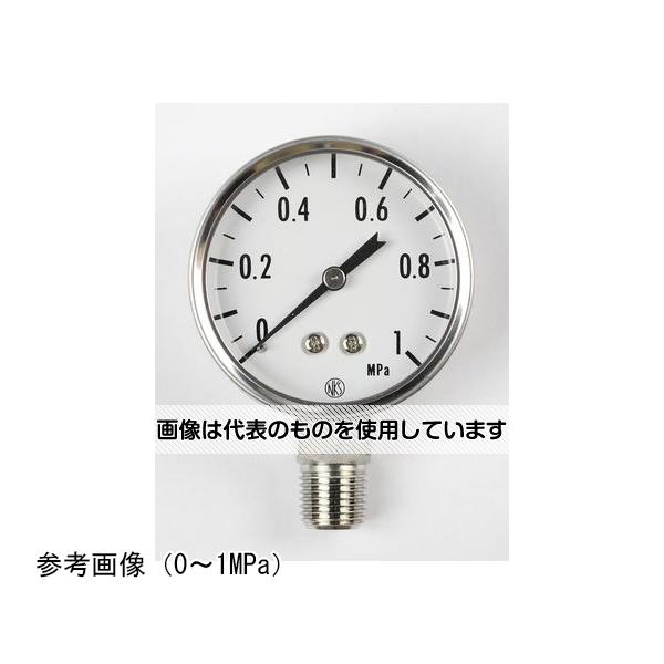 長野計器 SUS製小型圧力計(50Φ) 2.5MPa GK33-173 入数：1個(4.0)