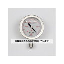 長野計器 グリセリン入圧力計(60Φ) -0.1〜0MPa 真空計(負圧計) GV50-123 入数:1個