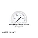 長野計器 グリセリン入圧力計(60Φ) 35MPa GV55-673 入数:1個(4)