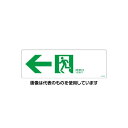 アズワン(AS ONE) 100x300mm 通路誘導標識 EA983AH-62 入数:1枚