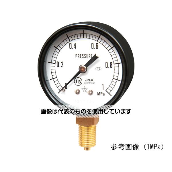 右下精器製造 汎用圧力計(スターゲージ) S-21-6MPa 入数：1個