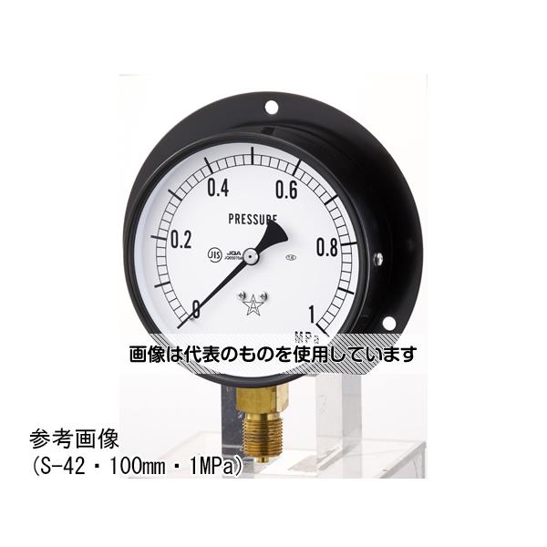 右下精器製造 汎用圧力計(スターゲージ) S-32-1.6MPa 入数：1個
