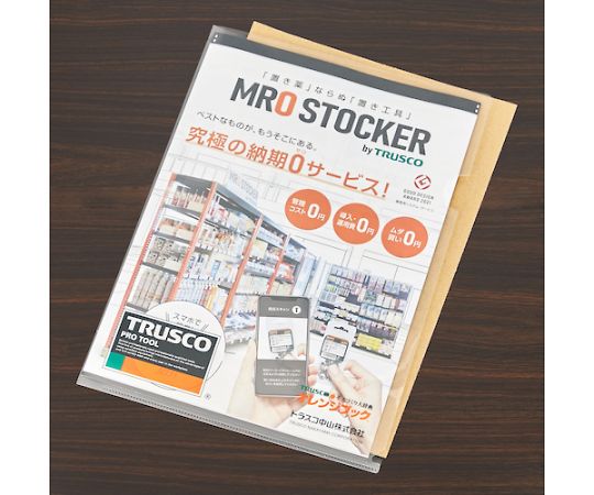 �ȥ饹���滳 �ʥܡ��륷���� 210x297 DS2129 ������1��